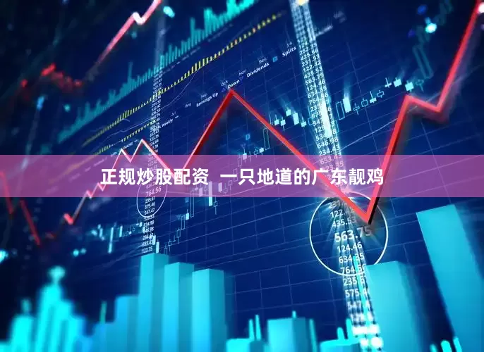 正规炒股配资  一只地道的广东靓鸡