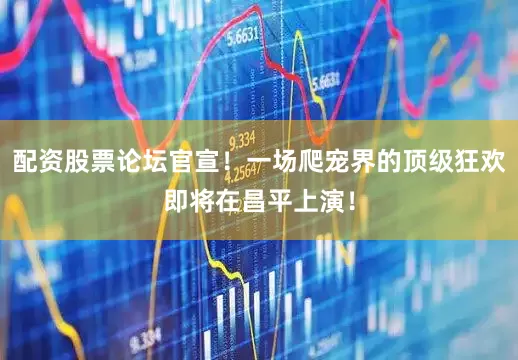 配资股票论坛官宣！一场爬宠界的顶级狂欢即将在昌平上演！