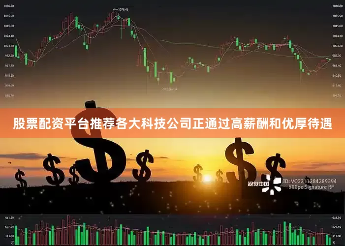 股票配资平台推荐各大科技公司正通过高薪酬和优厚待遇