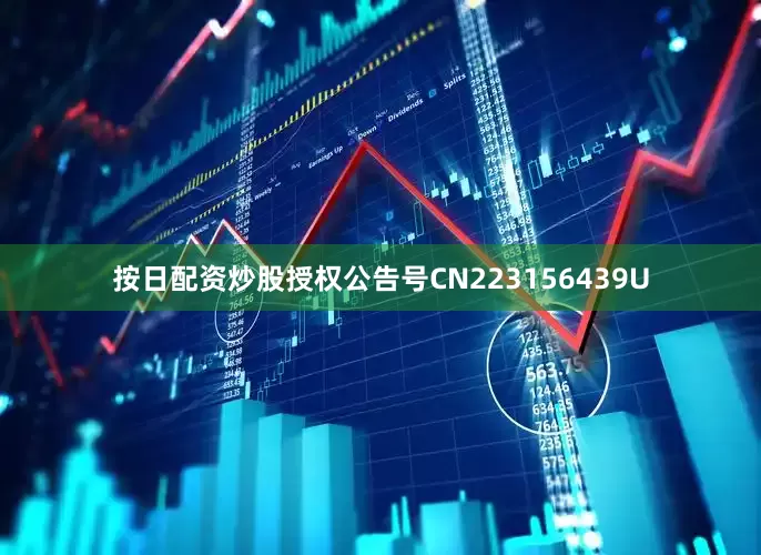 按日配资炒股授权公告号CN223156439U